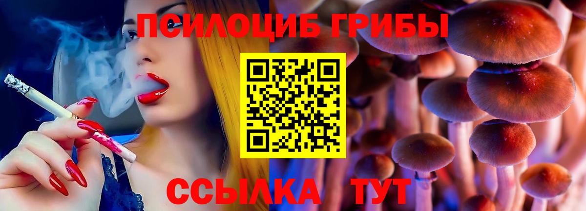 Галлюциногенные грибы прущие грибы  Псилоцибиновые грибы GOLDEN TEACHER  Домодедово  Вход с VPN 